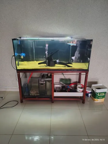 Aquário 1,50x0,50x0,60 completo como nas fotos