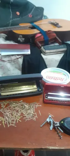 Gaita - Limpeza + afinação + troca de palhetas.
