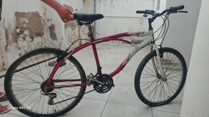 Bicicleta