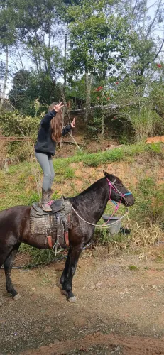 Egua