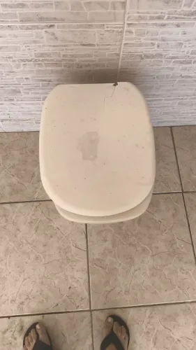 Vaso Sanitário Louça Branca (Com Assento)