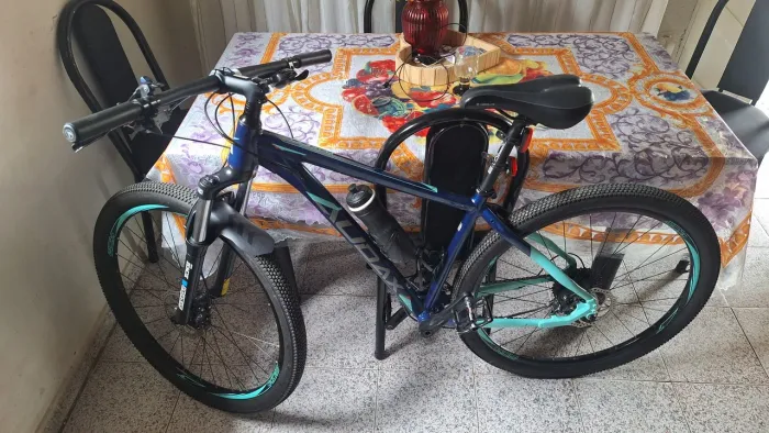 Bike Audax adx 100 