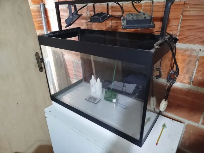Aquário 80 litros Completo e perfeito