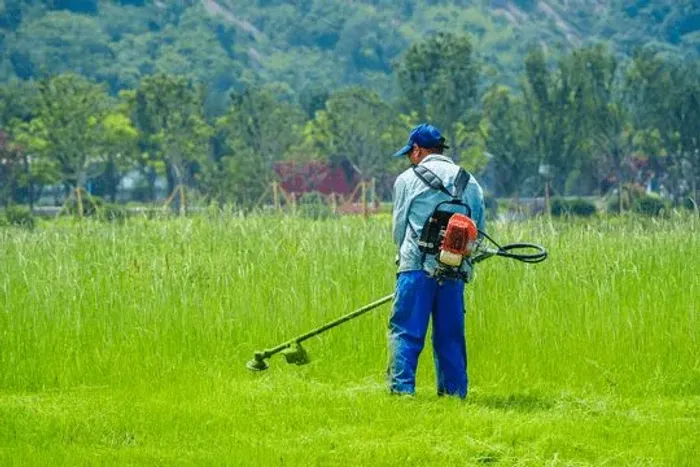 Roço terreno