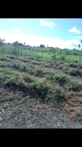 TERRENO NO POVOADO TOMBO