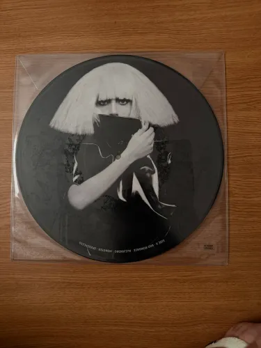 Vinil The Fame Monster Picture disc