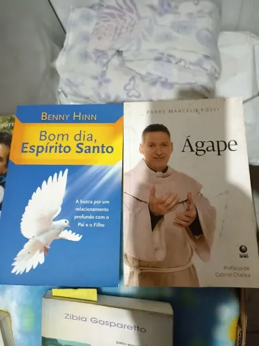 7 livros Católicos 