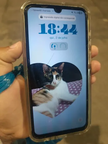 Samsung A15