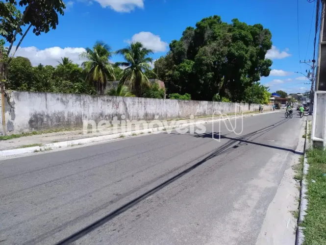Sítio com Área Total de 4.000 m²; à Venda em Dias DÁvila