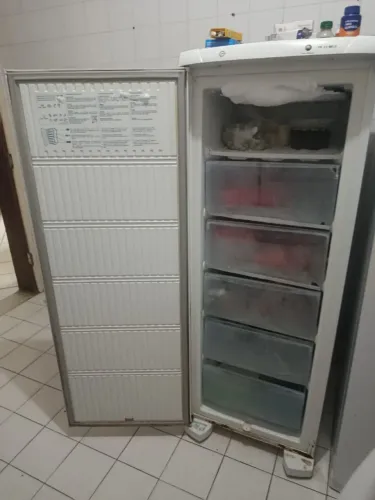 Freezer vertical 