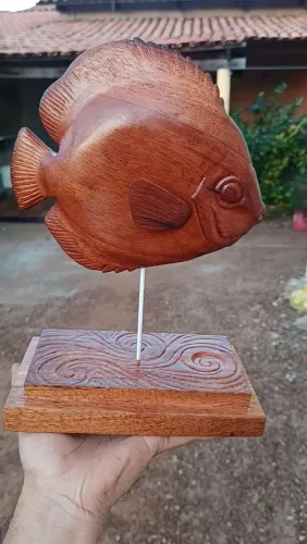 Escultura Peixe Acará-Disco Em Madeira Nobre - Artesanal/Decorativa