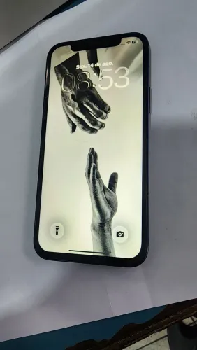 iPhone 12 264 GB, TUDO FUNCIONANDO.
