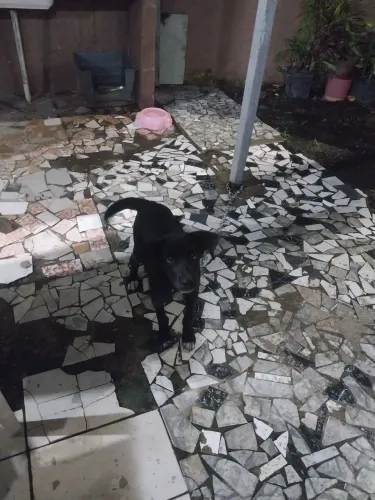 Doação 