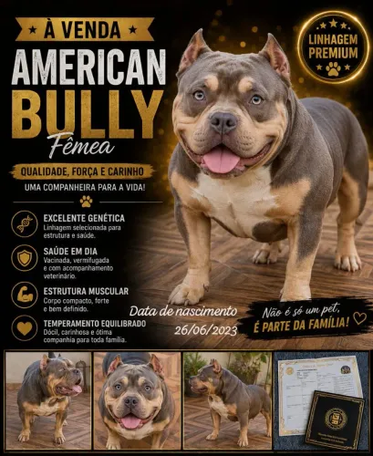 Vendo American bully