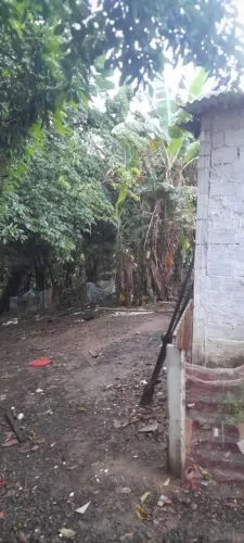 Vendo chácara 1200 mtrs área verde