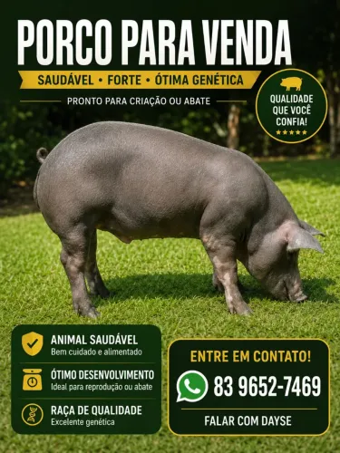 Porco