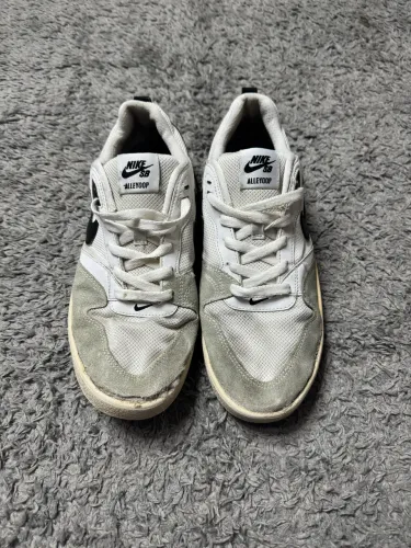 Tênis Nike Sb alleyoop