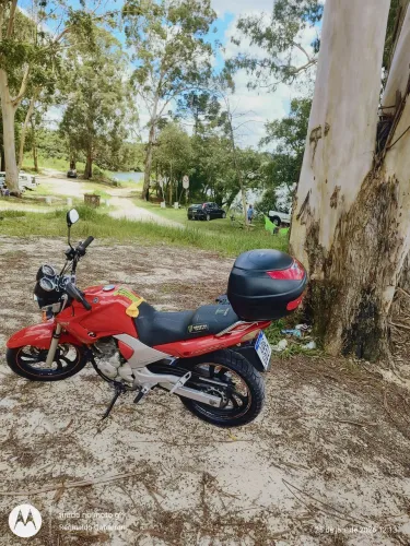 Fazer 250 ys tudo ok
