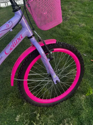 Bicicleta Infantil Aro 20