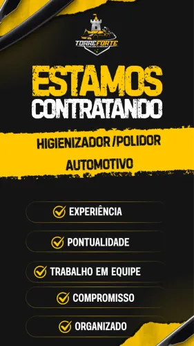 HIGIENIZADOR AUTOMOTIVO