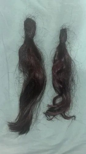 Cabelos