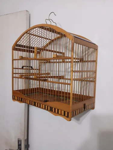 Animais e acessórios 