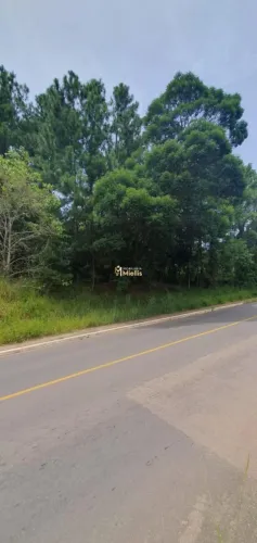 TERRENO PRÓXIMO AO LAGO TARUMÃ - VIAMÃO - RS Ref.: