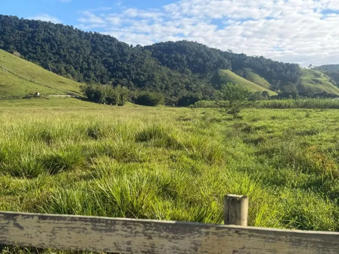 Fazenda com pasto formado, cercada, curral, casa sede, rio e nascente.