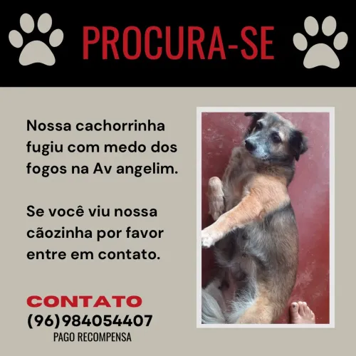 procura-se