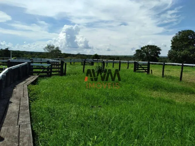 Fazenda à venda, 275880 HA por R$ 9.000.000 - Zona Rural - Jussara/GO