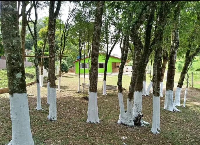 Rancho Viana