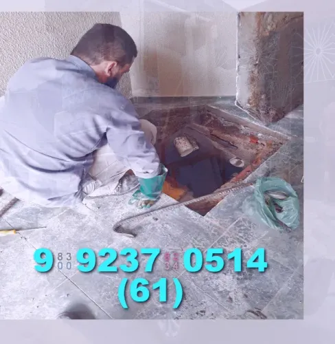 Desentupidora Profissional - Canos, Ralos, Pias e Vasos Sanitários Desobstruídos
