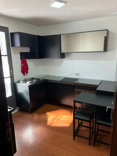 Casa xaxim