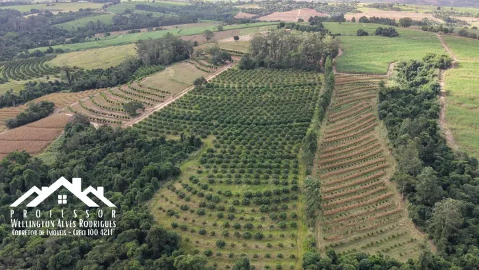 Sítio com 10,7 hectares à venda no Bairro dos Frades em Limeira-SP