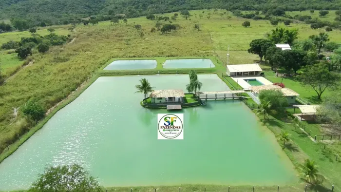 Fazenda de Alto padrão e muito produtiva em Buritis - MG