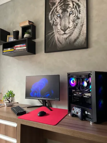 SETUP COMPLETO (RX 6600 8gb + Ryzen 5)