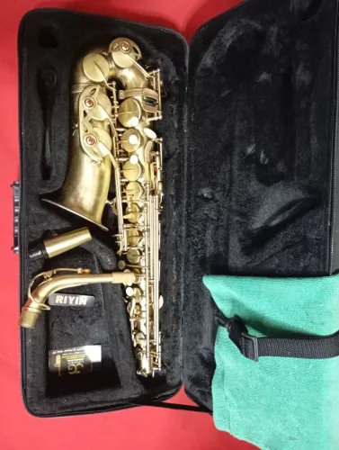 Sax alto shelter escovado MB