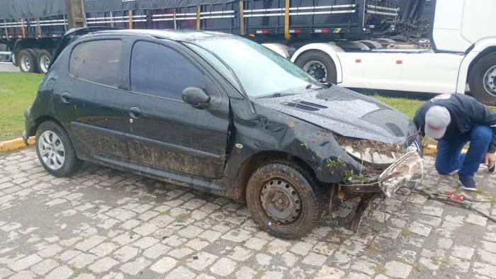 Peugeot 206 Presence 1.4/ 1.4 Flex 8V 5P 2008