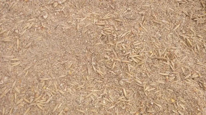 Batidão (milho, sorgo, soja, aveia) 25 kg