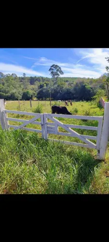 ? TERRENO RURAL À VENDA - 1.000 m²