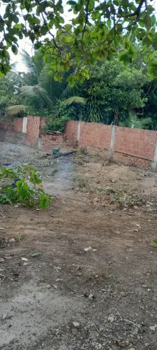 OoTerreno em caetes 2.