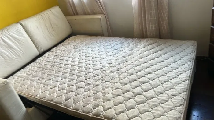 Sofá cama marca Líder 350,00