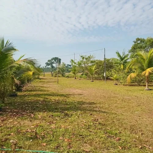 Chácara Km13 - Passando a ponte do Rio Madeira 