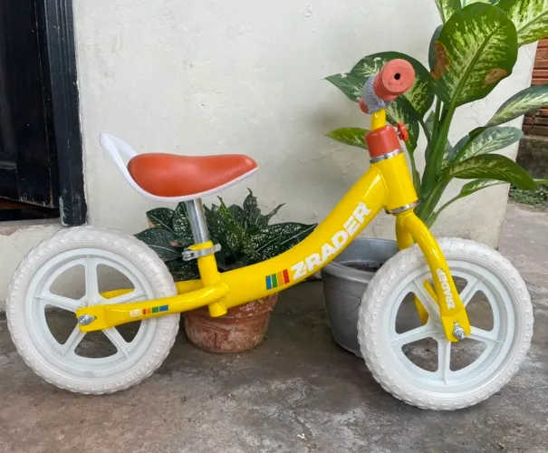 Bicicleta de equilíbrio