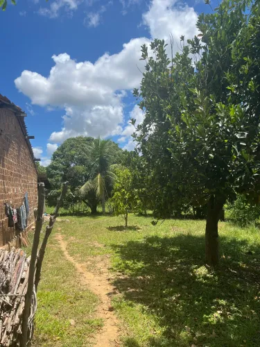 Sitio em chã de alegria