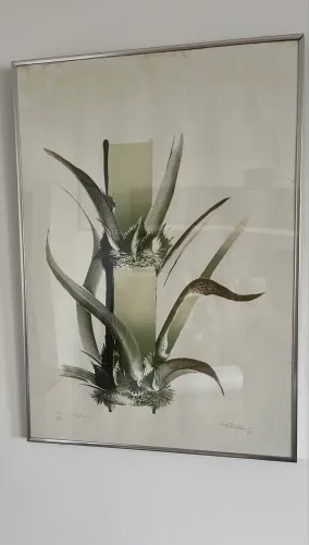 Quadro xilogravura datada em 79