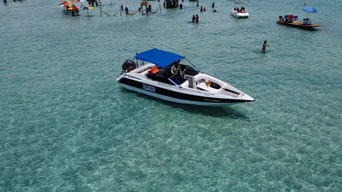 Lancha Ecomarine Delta 26 pes
