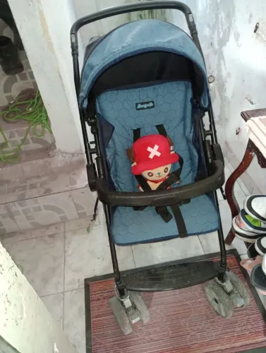 Carinho de bebê, de brinde uma almofada assento para bebê de 6 meses. Estão ótimo pr uso