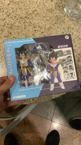 Vegeta reservado 