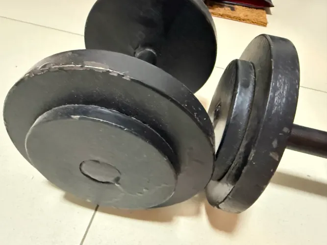 Halter de 10kg (par)